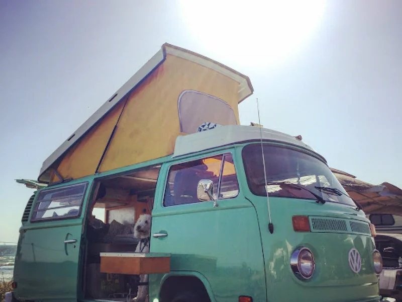 1977 Volkswagen Westfalia