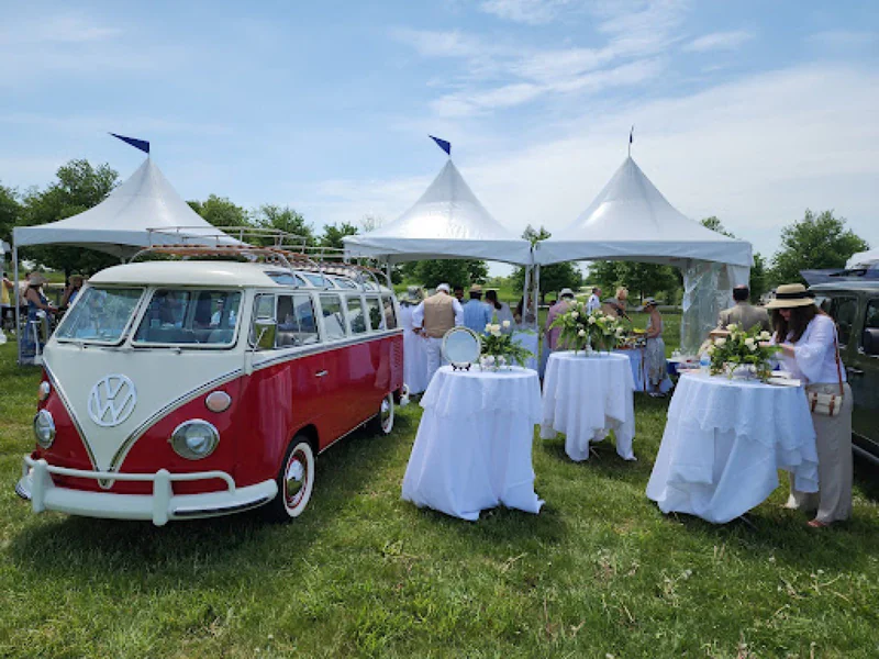 1965 Volkswagen Deluxe Transporter 21 Window 9