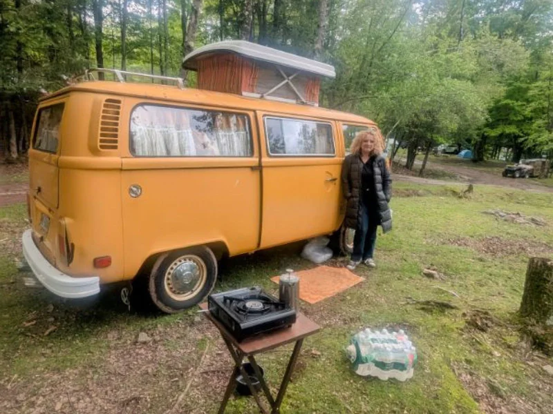 1976 Volkswagen Bus