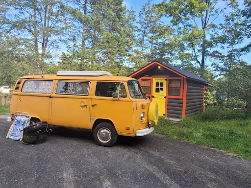 1976 Volkswagen Bus 9