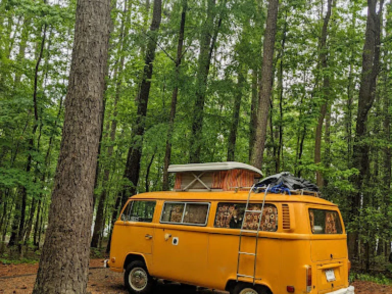 1976 Volkswagen Bus