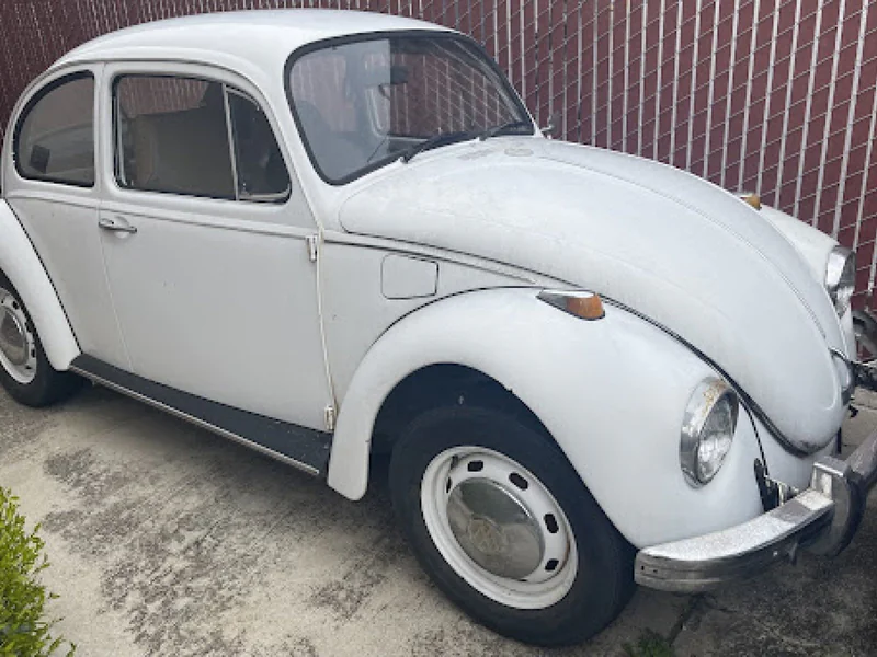 1969 Volkswagen Bug 2
