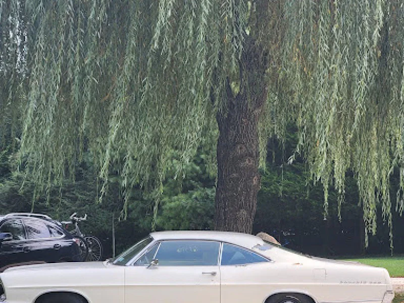 1967 Ford Galaxie 500 3
