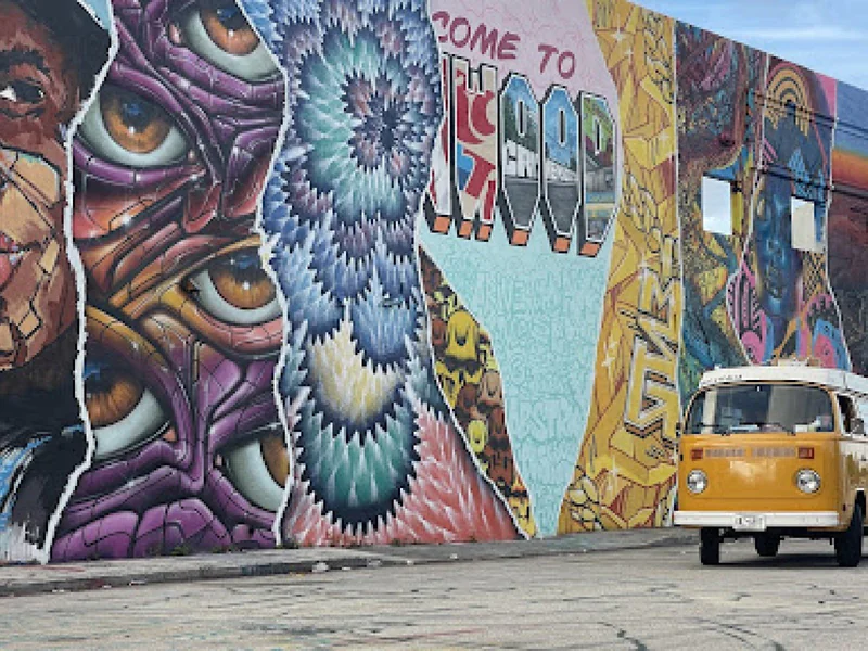 1976 Volkswagen Combi Westfalia 4