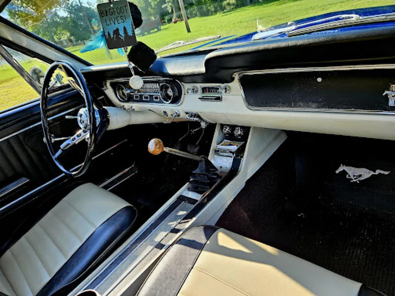 1965 Ford Mustang 6