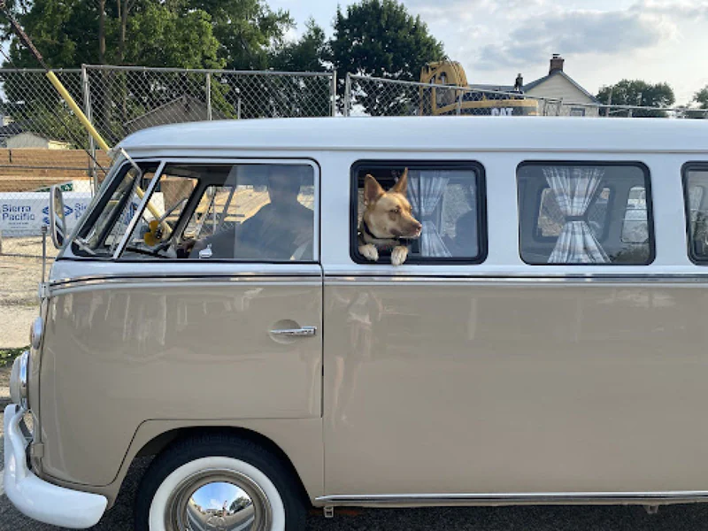 1965 Volkswagen Transporter Bus 6