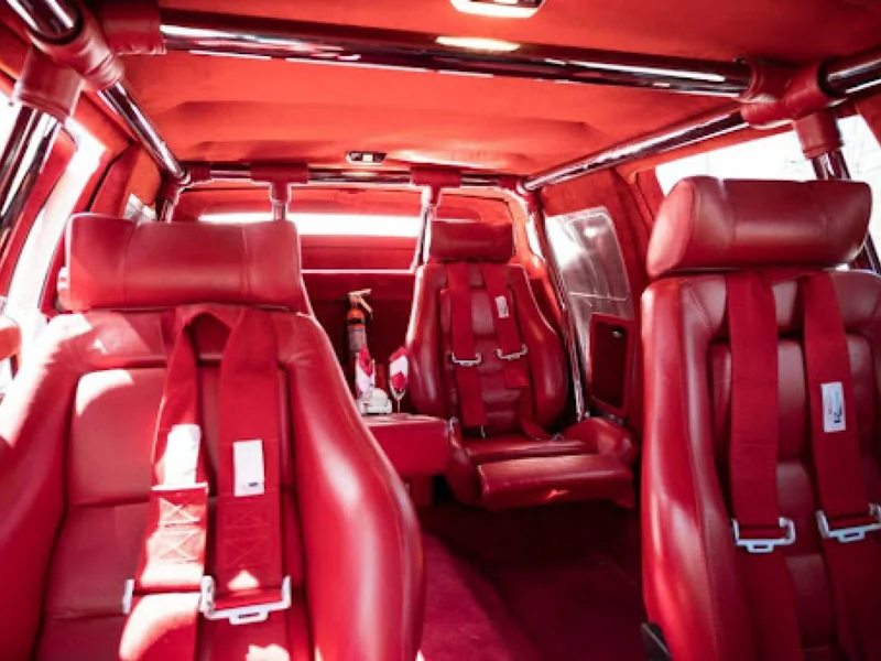 1981 Cadillac Fleetwood Stretch Limousine 6