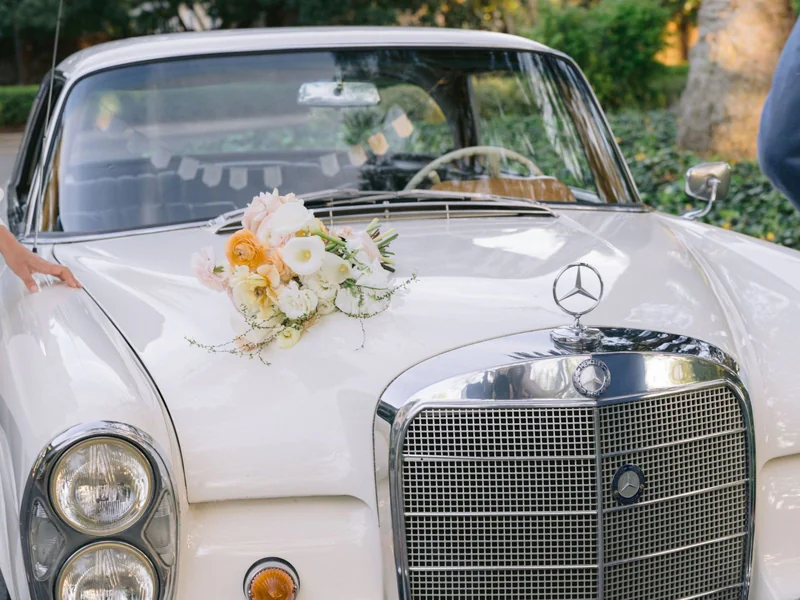1963 Mercedes-Benz 220SE  7