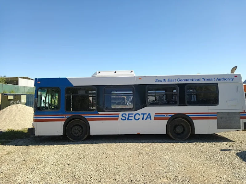 2009 Unknown City Transit Bus D-35lf 3