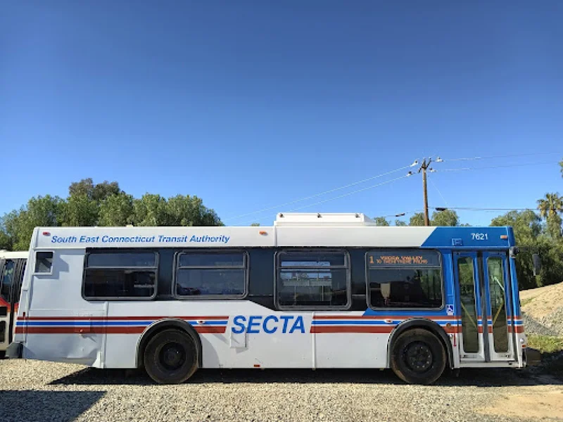 2009 Unknown City Transit Bus D-35lf 5