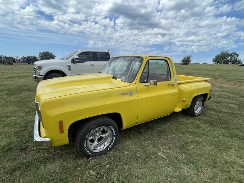 1977 Chevrolet Stepside Single Cab 3