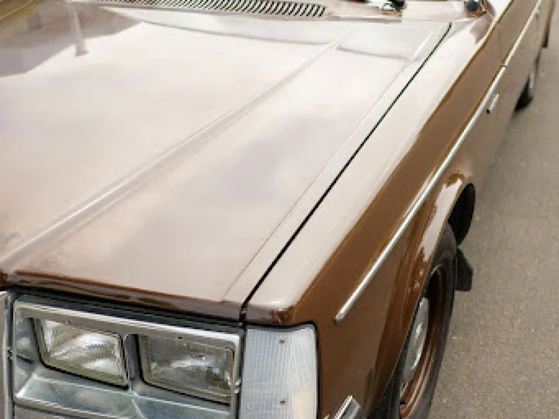 1981 Volvo 245 4