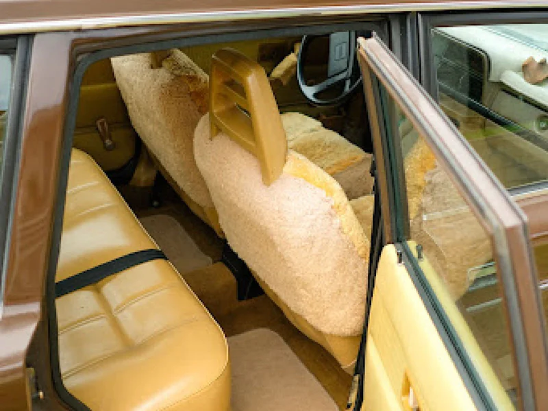 1981 Volvo 245 8