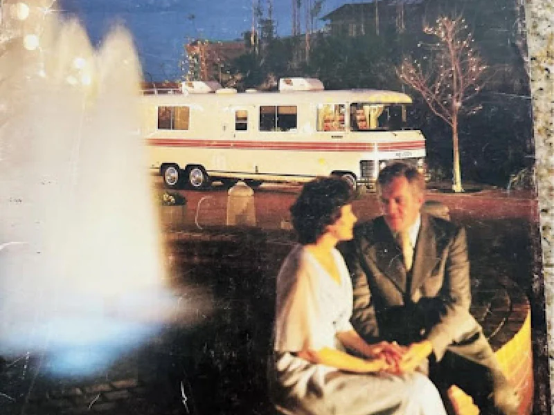 1977 Unknown Buckingham 290 8