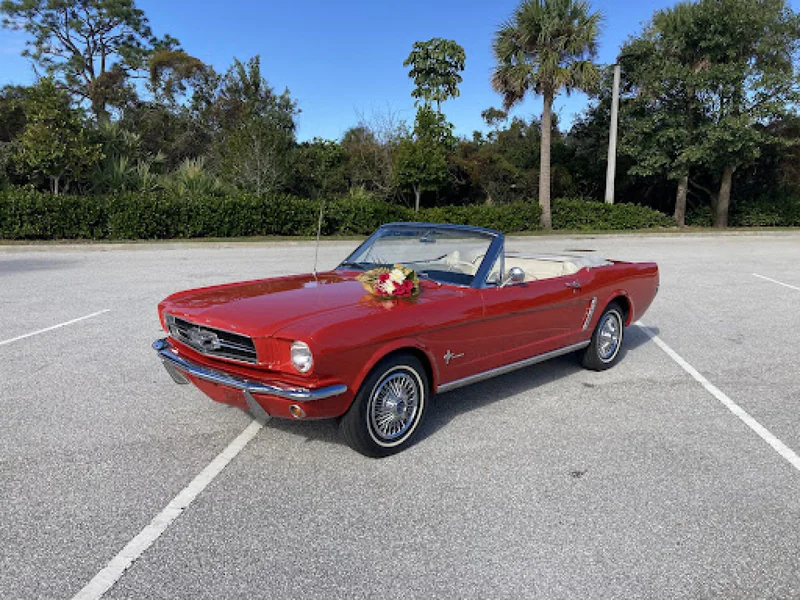 1965 Ford Mustang 3