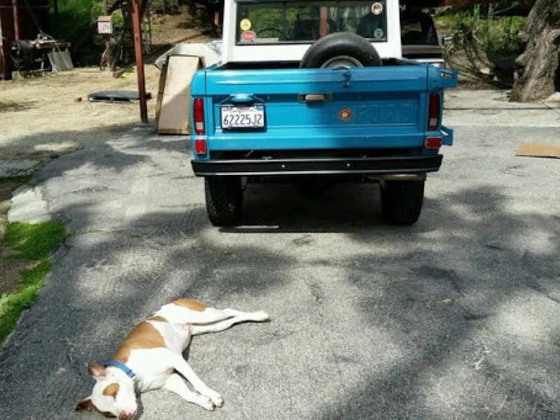 1969 Ford Bronco U14 pickup 3
