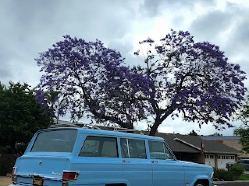 1972 Jeep Wagoneer 3