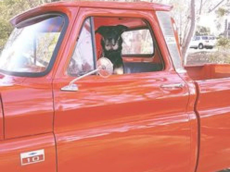 1966 Chevrolet C10