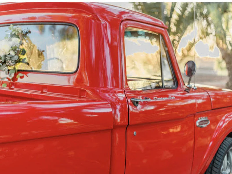 1965 Ford F-100