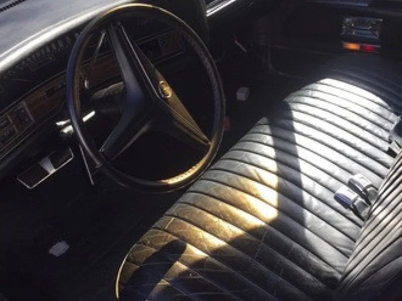 1973 Cadillac Fleetwood Series 75 10