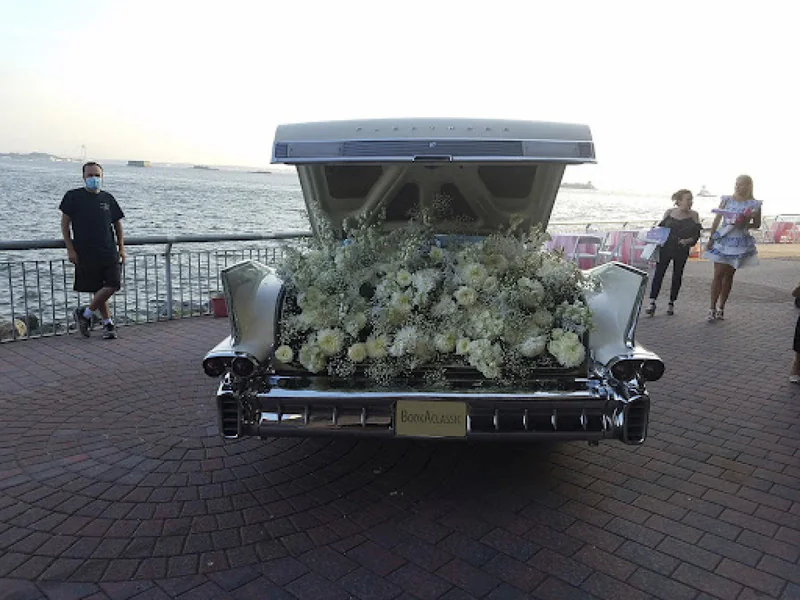 1958 Cadillac Fleetwood 10