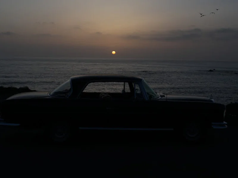 1965 Mercedes-Benz 220seb