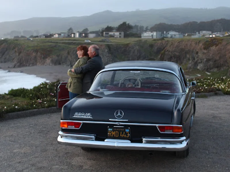 1965 Mercedes-Benz 220seb