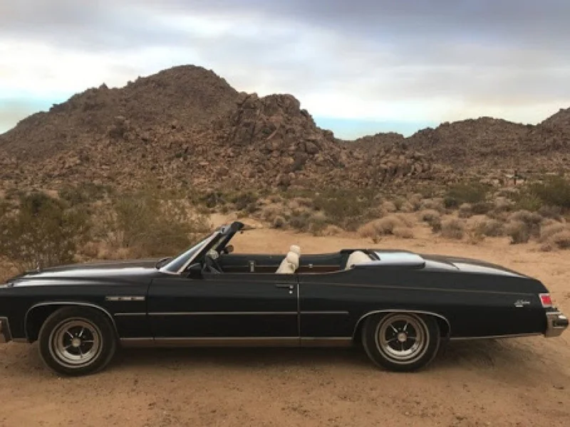 1975 Buick LeSabre Custo 12