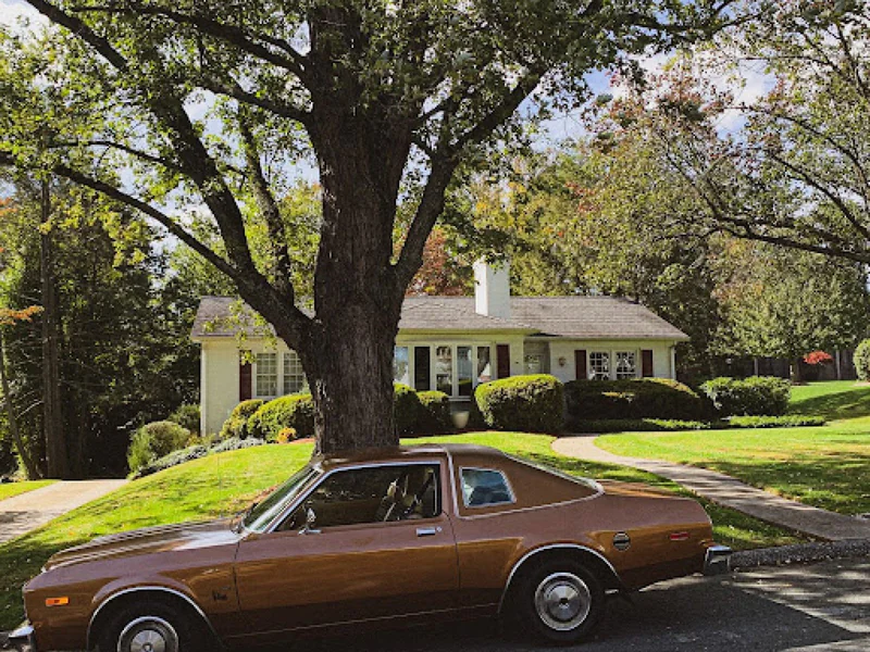 1979 Plymouth Volare 6