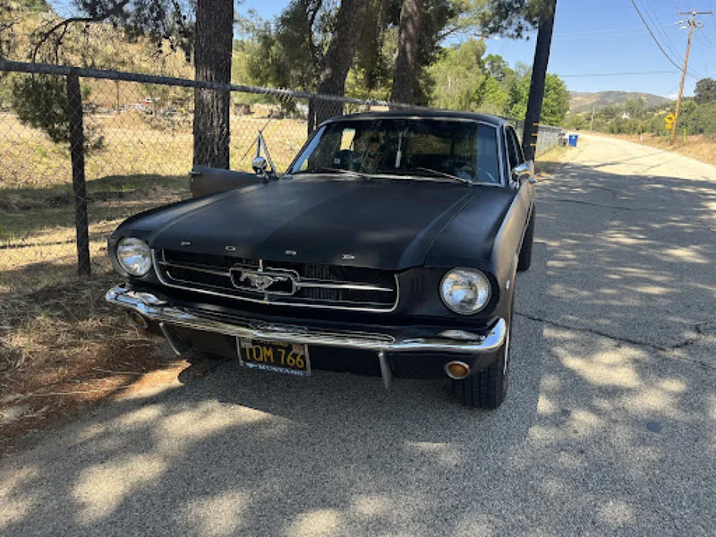 1965 Ford Mustang 2