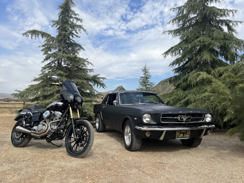 1965 Ford Mustang 4