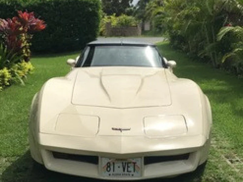 1981 Chevrolet Corvette