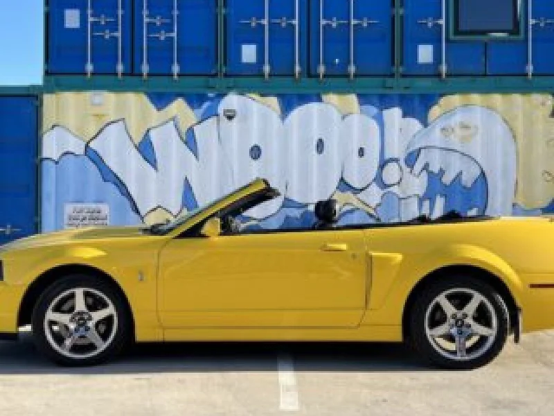2004 Ford Mustang Cobra Convertible