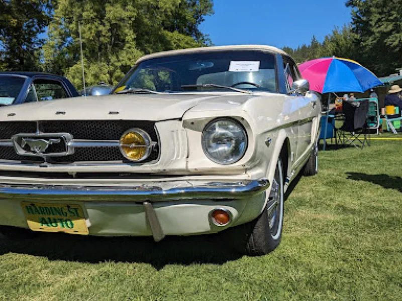 1965 Ford Mustang 3
