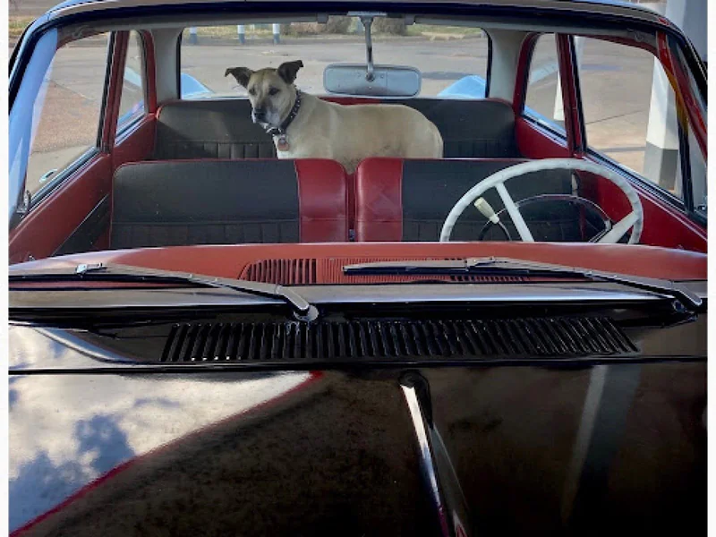 1960 Mercury Comet 6