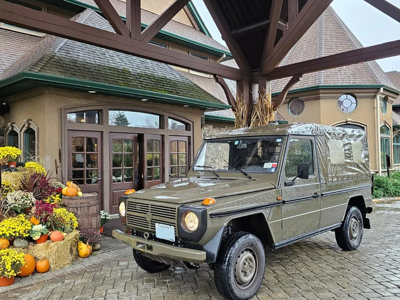 1991 Puch 230ge 17