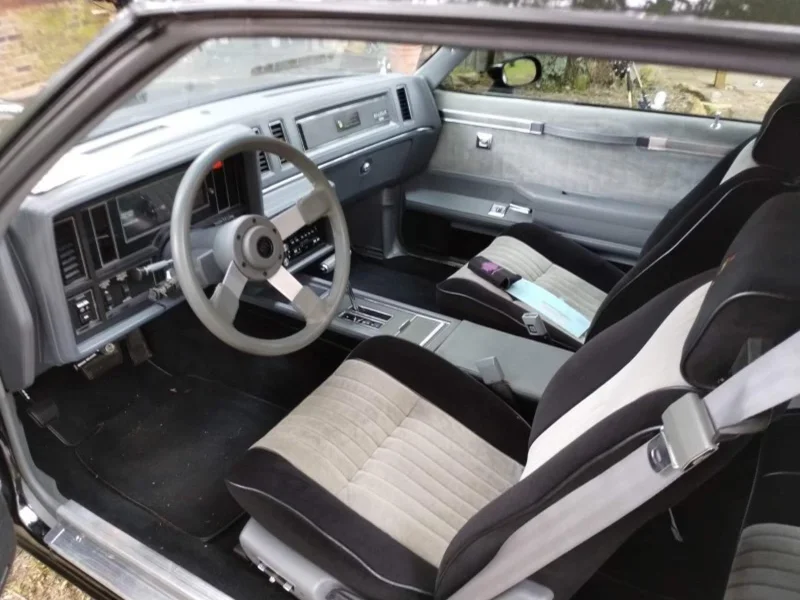 1987 Buick Regal Grand National 9