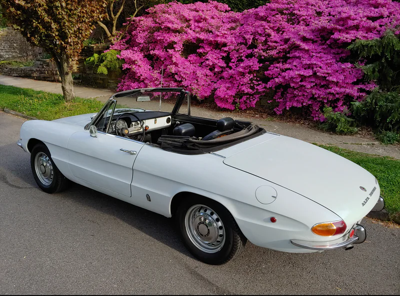 1969 Alfa Romeo Spider Duetto