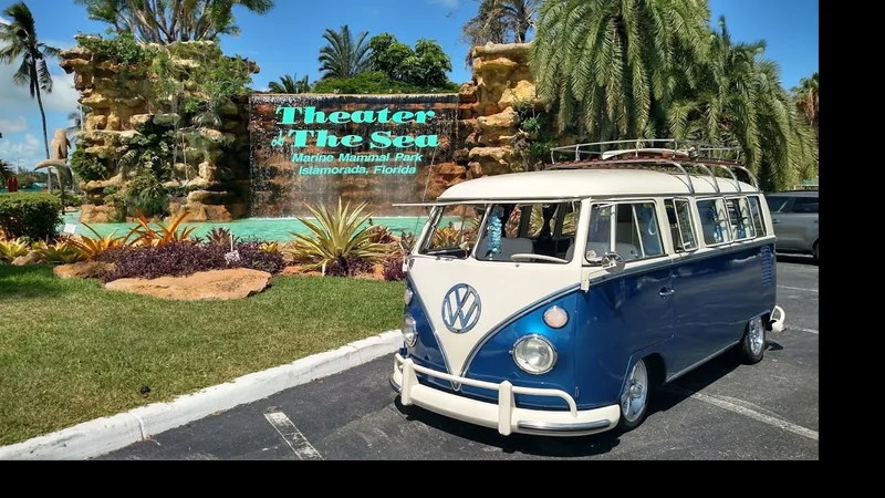 1966 Volkswagen Transporter (Van) 6