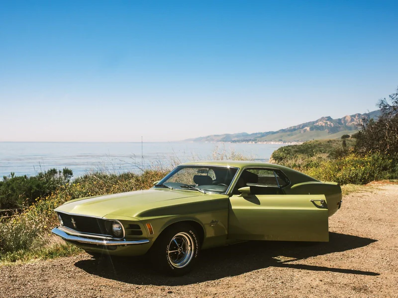 1970 Ford Mustang Base 7
