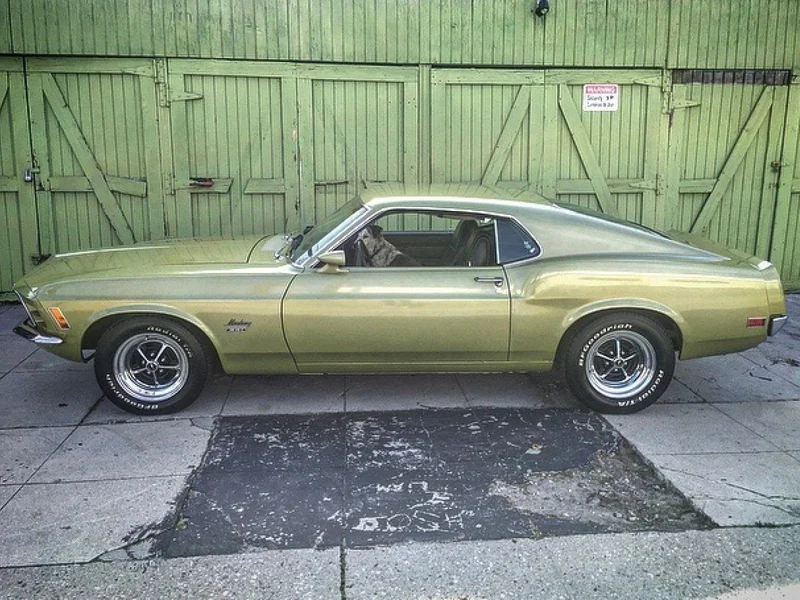 1970 Ford Mustang Base 2
