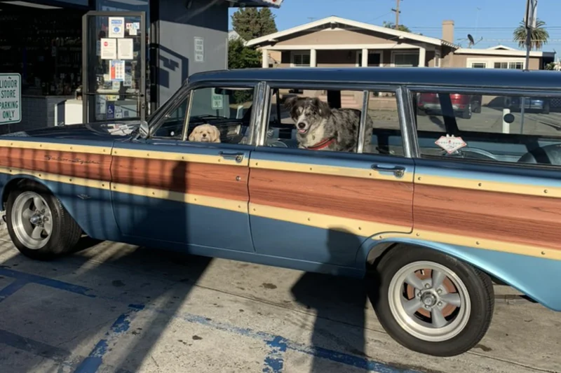 1965 Ford Falcon Squire 5