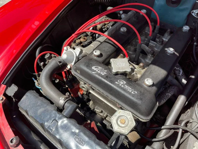 1965 Alfa Romeo Giulia Spider 2