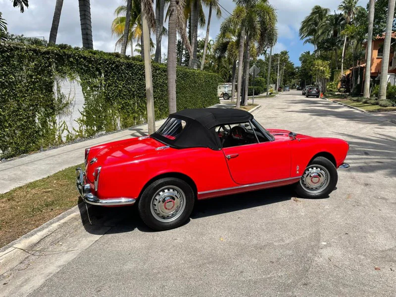 1965 Alfa Romeo Giulia Spider 8