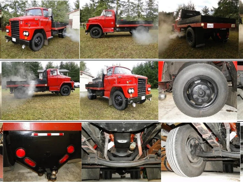 1965 Dodge C500 1 1/2 Ton 7