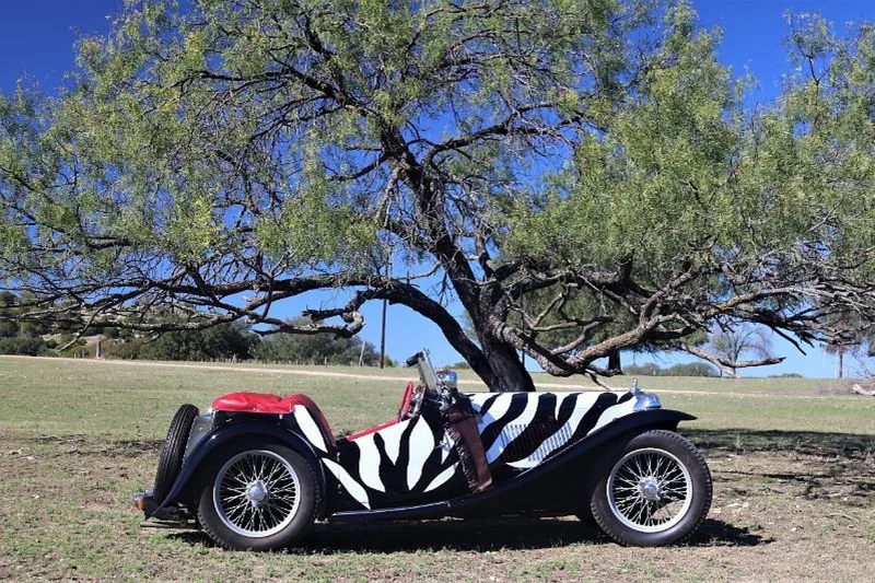 1949 MG TC Base 6