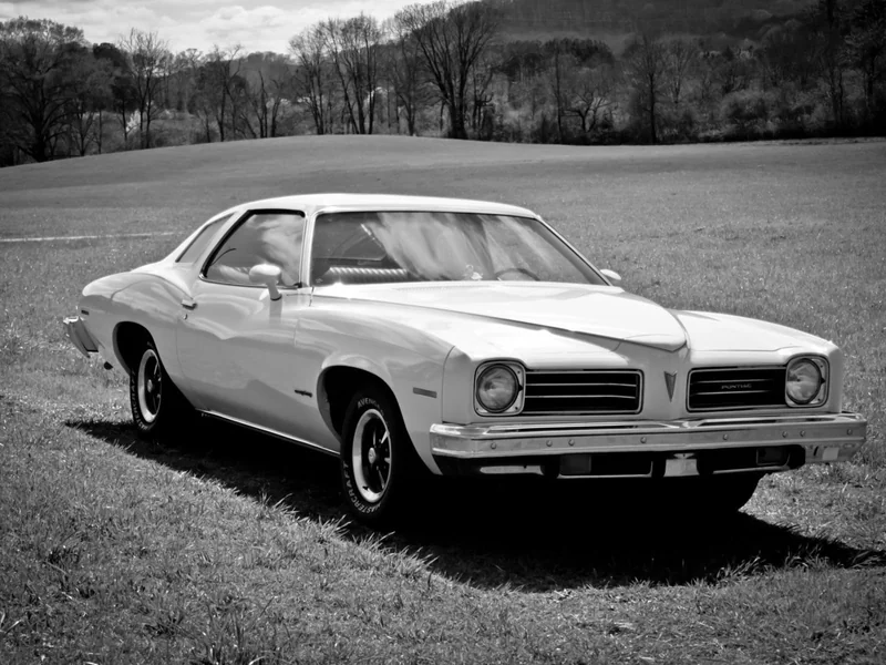 1974 Pontiac LeMans Sport 2
