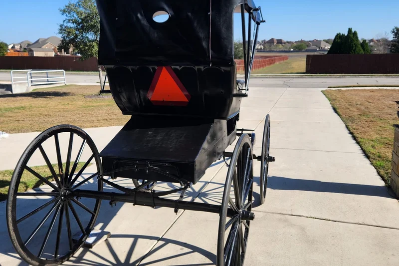 1884 Unknown Doctors buggy