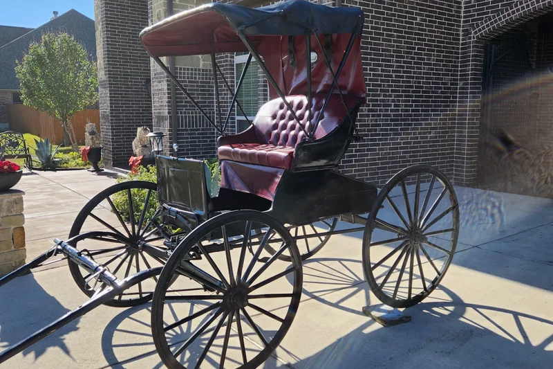 1884 Unknown Doctors buggy