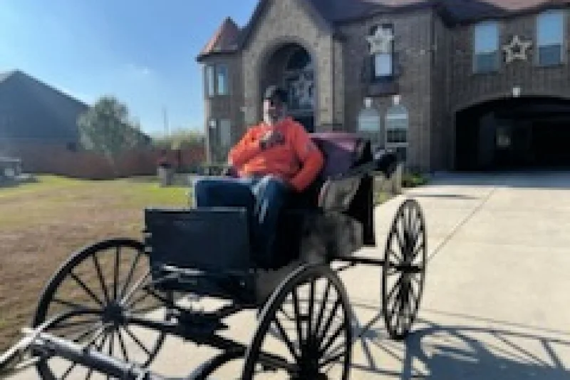 1884 Unknown Doctors buggy